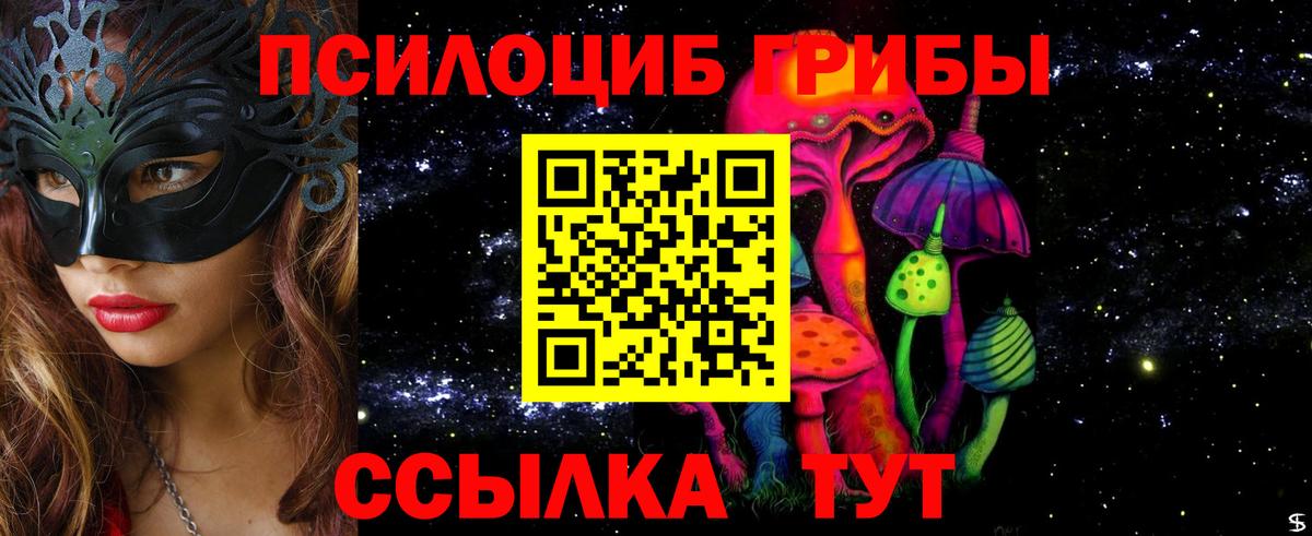 Чапаевск  Псилоцибиновые грибы Psilocybine cubensis  Вход с VPN  Галлюциногенные грибы мицелий 